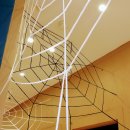 이수연댄스아카데미 이미지