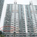 그린 (212) 이미지