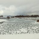 봉성클래식 민박 이미지