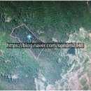 손덕문 공인중개사사무소 이미지