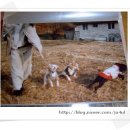 아롬나옴 이미지