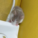 노원-상계-2276 이미지