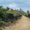 올레가요방 - 서귀포시 이중섭로 12 | WK 6 - Jeju Trip