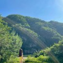 헤리티스 이미지