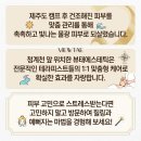 태양휴게점 | 명동 에스테틱 얼굴피부관리 물광피부 받은 뷰태에스테틱 후기