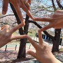 어린이공원 32호 네이버블로그