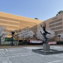 평촌 이마트 뒤 이미지