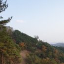 부여(임천)-16 이미지