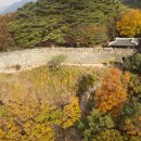 샘재로 3 이미지