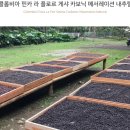 디코드커피 이미지