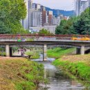 부림2교 이미지