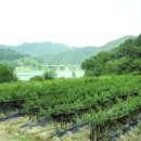 강변에서 이미지