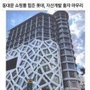 동대문 쇼핑몰 힘준 롯데, 자산개발 출자 마무리 이미지