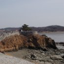 강화인삼센타 - 11501 | 강화인삼센타