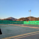 서충주생활체육공원 축구장 네이버블로그