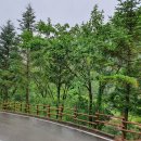 금봉자연휴양림 이미지