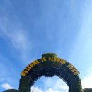 굿모닝콘도텔 | 달랏시가 운영하는 달랏 꽃 정원 [달랏 여행/달랏 가볼만한 곳]