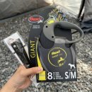 펫컴 | [Flexi플렉시]자동리드줄 8M / 푸들사용후기 / 내돈내산