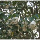 동산자연어린이집 이미지