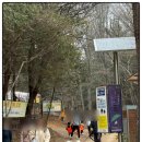 오송농장 | 아이고고 전주 오송제생태공원 숲체험 후기