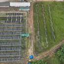 태양 1농장 이미지