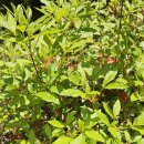 기왕공인중개사사무소 이미지