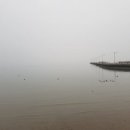 종일농원 이미지