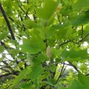 한마음요양병원 이미지