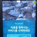 내손탁구장 이미지