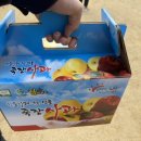 백석탄골부리캠핑장 이미지