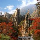 신선관