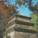 [ 그림엽서 ] 경주 분황사 석탑 이미지