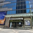 서서동물의료센터 | [건강검진 후기] 체계적인 시스템에 놀란 KMI 한국의학연구소 광화문 검진센터 방문기