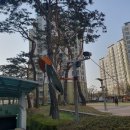 송학지안리즈 이미지