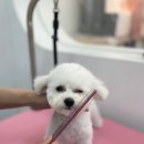 헬로 다키 이미지