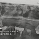 남양광고스카이