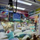 제일 게임장 이미지