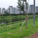 심곡천공원 이미지