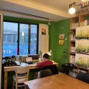 슬기로운 초록생활 이미지