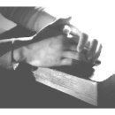 아담유치원 이미지