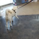 소라약국 이미지