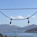 근해통발수산업협동조합 | [일상] 손질 바다장어 추천 ‘ 통영 근해통발수협‘ | 내돈내산 겨울 캠핑 요리 추천