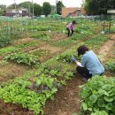 신용농장 이미지