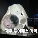 오알엘하우스 | 제주 투어패스 가격 아르떼뮤지엄 사용방법 사용처 후기