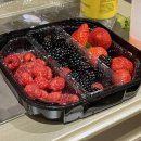 황인군 | 스위스 날씨 절망편 추억은 남는다 그래도 괜찮아 (feat. First Cliff, Bachalpsee)