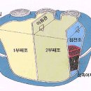 모양정화조