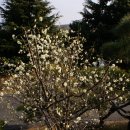 부산시청 이미지