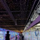 와와 짱 오락실 이미지