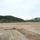 무궁화오토캠핑장 이미지