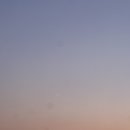 신간짬뽕 이미지